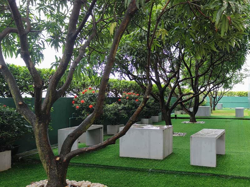Zen Garden