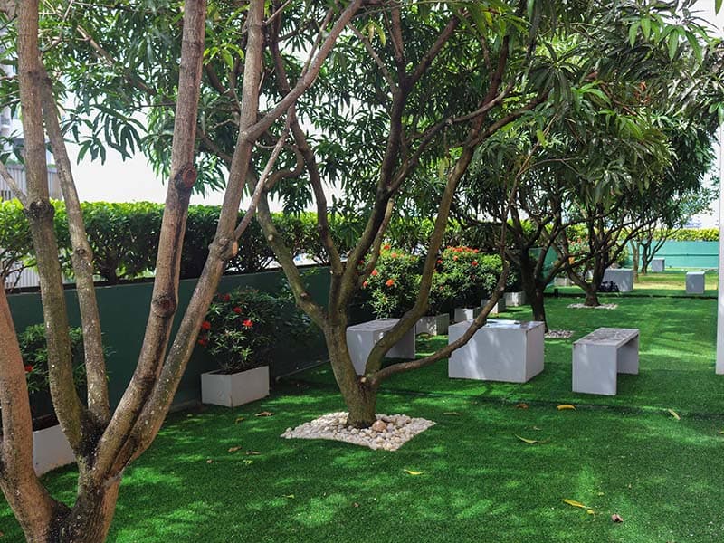 Zen Garden