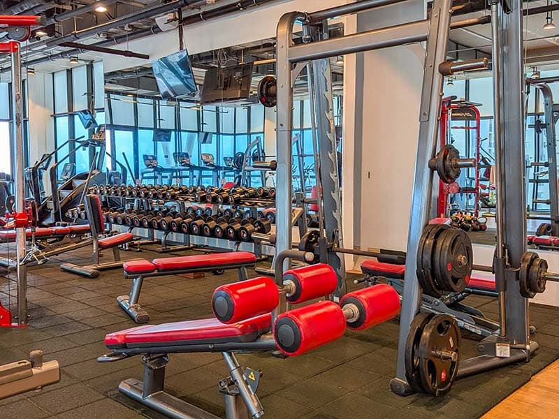Elevate GYM